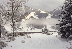 B-Bar-SkullyTrail-010116