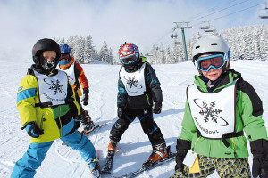 Bridger-010116-mogul-mice