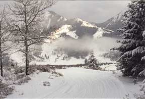 B-Bar-SkullyTrail-010116