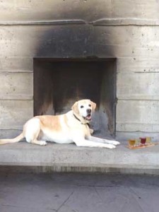 Lockhorn-dog-030116