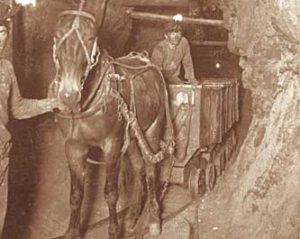 mor-miner