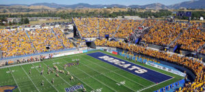 cheeronthecats_540x242