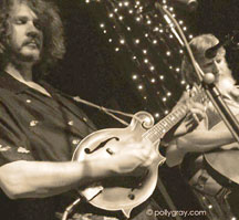 the-drew-emmitt-bandphoto-by-polly-gray