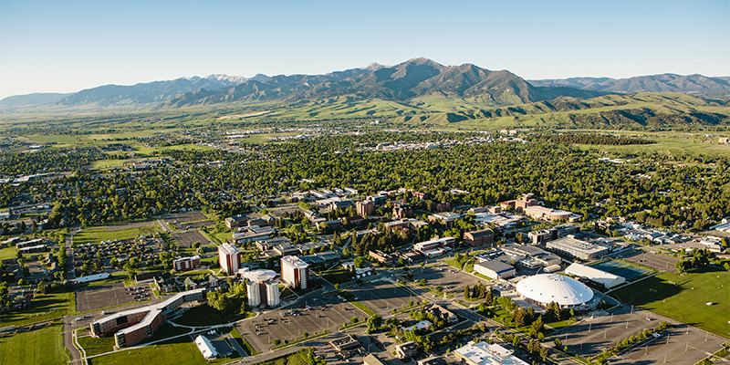 Montana State to offer all summer courses via online and remote ...