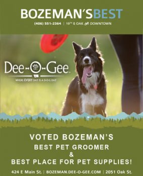 Dee-O-Gee best pet groomer