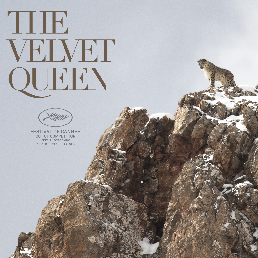 the velvet queen movie review