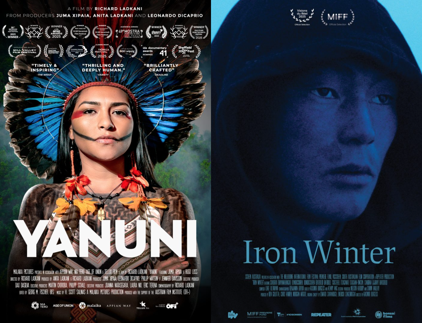 DOC SERIES JAN 26 - The BoZone